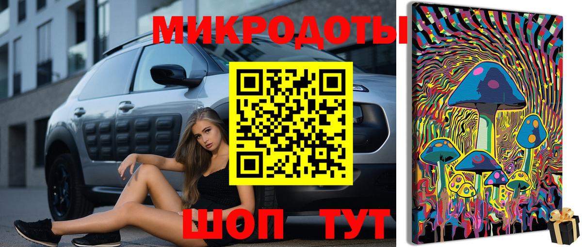 Галлюциногенные грибы Psilocybe  Вход с VPN  Павлово 