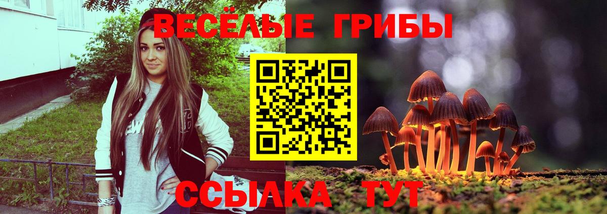 Псилоцибиновые грибы MAGIC MUSHROOMS Павлово